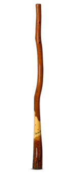 Wix Stix Didgeridoo (WS132)